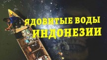 Ядовитые воды Индонезии (2019)