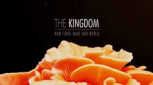 Тайное царство: Грибы, определившие наш мир / The Kingdom: How Fungi Made Our World (2018)