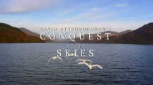 Покорение неба 3D 1 серия / Conquest of the Skies 3D (2014)