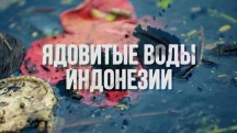 Неизвестная Москва: на углу круглого дома (2019)