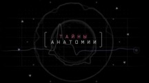 Тайны анатомии. Органы чувств 1 серия (2019)