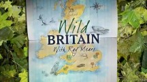 Природа Великобритании с Реем Мирсом 01 серия / Wild Britain with Ray Mears (2010)