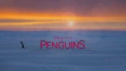 Пингвины / Penguins (2019)