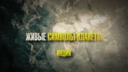 Живые символы планеты. Индия. Животные (2019)