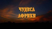 Чудеса Африки / Wonders of Africa (2018)