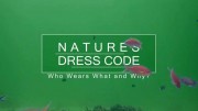 Дресс-код в дикой природе. Кто что носит и почему? / Nature's Dress Code - Who Wears What and Why (2019)