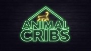 Дома для животных 2 сезон 06 серия. Скотный двор на заднем дворе / Animal Cribs (2019)