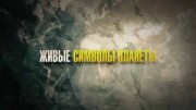 Живые символы планеты. Таиланд. Растения (2019)