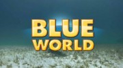 Подводный мир 08 серия. В этом эпизоде тренировка астронавтов / Blue World (2016)