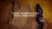 Страна чудесных ископаемых 1 серия. Странные чудеса / Fossil Wonderlands: Nature's Hidden Treasures (2014)
