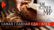 Самая главная еда - хлеб. Как устроен мир с Тимофеем Баженовым (29.11.19)