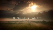 Планета джунглей 5 серия. Лес бабочек / Jungle Planet (2017)