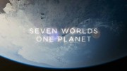 Семь миров, одна планета 7 серия. Африка / Seven Worlds, One Planet (2019)