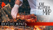 Вкусно жрать. Как устроен мир с Тимофеем Баженовым (24.01.20)