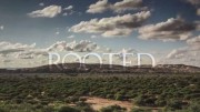 От корня до кроны: тайны деревьев 1 серия. История акации / Rooted (2018)