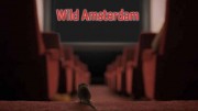 Город глазами кота / Wild Amsterdam (2018)