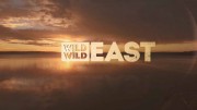 Дикий дикий Восток 01 серия. Лисы / Wild Wild East (2016)