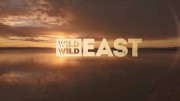 Дикий дикий Восток 11 серия. Нашествие / Wild Wild East (2016)
