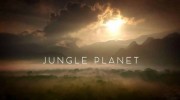 Планета джунглей: 14 серия. Бескрайные леса / Jungle Planet (2017)
