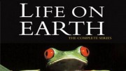 Жизнь на Земле (1-13 серии) / Life on Earth (1979)