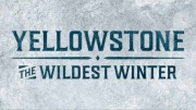 Великая американская оттепель 1 серия. Суровая зима / Great Yellowstone Thaw (2017)