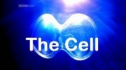 Клетка / The Cell (2009)