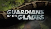 Хранители болот Эверглейдс 12 серия / Guardians of the Glades (2019)