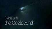 Дайвинг с целакантом / Diving with the Coelacanth (2014)