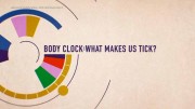Биологические часы: как они работают? / Body Clock: What Makes Us Tick? (2018)