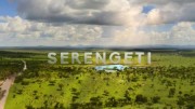 Серенгети / Serengeti (2019) HD