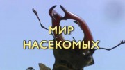 Мир насекомых / Insect World (2017)