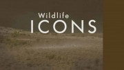Герои дикой природы 2 сезон 6 серия. Крокодилы и бегемоты / Wildlife Icons (2017)