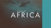 Берега Африки 3 серия. Золотой лес Африки / Coastal Africa (2016)