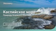 Каспийское море. Природа Ближнего Востока