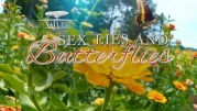 Бабочки: лгуньи и хвастуньи / Sex, Lies and Butterflies (2017)
