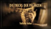 Тёмная сторона растений 1 серия. Хищные растения. Смертельные ловушки. Убийства и хаос / Die Tricks der Pflanzen (2013)