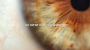 Глазами живой природы / Oeil pour oeil (2017)