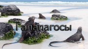 Галапагосы (3 фильма из 3) / Galapagos (2006)