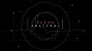 Тайны анатомии. Скелет (2019)