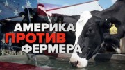 Бизнес по-американски. Как власти наживаются на фермерах (2020)