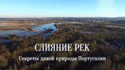 Слияние рек. Секреты дикой природы Португалии / A Meeting of Waters - Secrets of Wild Portugal (2017)