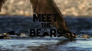 Знакомьтесь: медведи / Meet the Bears (2019)