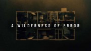 Пустыня ошибок 1 серия / A Wilderness of Error (2020)