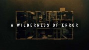 Пустыня ошибок 5 серия / A Wilderness of Error (2020)