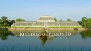 В королевстве растений 2 серия. Раскрывая секреты / Kingdom of Plants (2012)