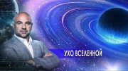 Ухо вселенной. Как устроен мир с Тимофеем Баженовым (03.11.2020)