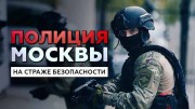 Полиция Москвы. На страже безопасности (2020)