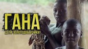 Гана. Дети-золотодобытчики (2020)