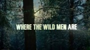 Есть на свете тихий уголок. Вашингтон / Where the Wild Men Are with Ben Fogle (2016)