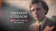 Евгений Стеблов. Вы меня совсем не знаете (2020)